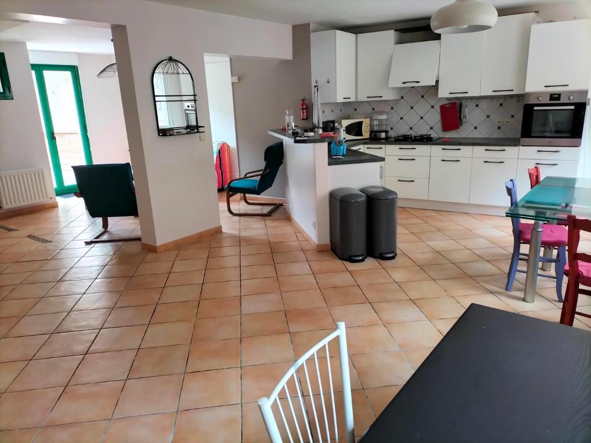 Appartement Au Centre Ville Avec Un Beau Jardin Prive 拉尼翁 外观 照片